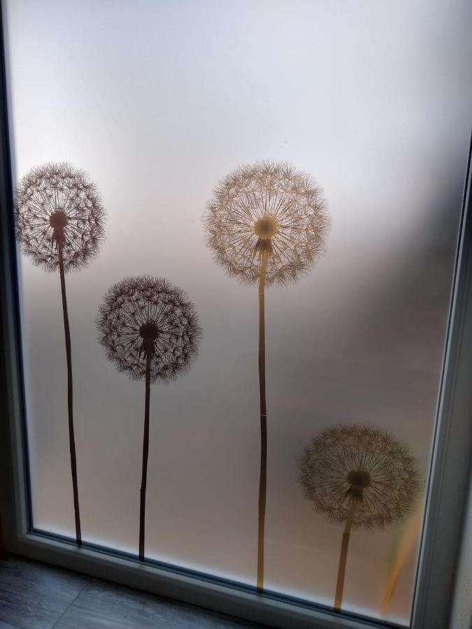 Ferienwohnung Pusteblume Mueddersheim Vettweiss Exterior photo
